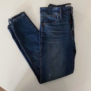 Madewell 10" High-Rise Skinny Dark Wash Jeans